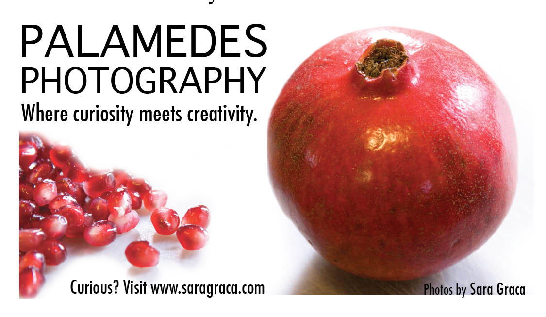 palamedes_photography_home_page_ad